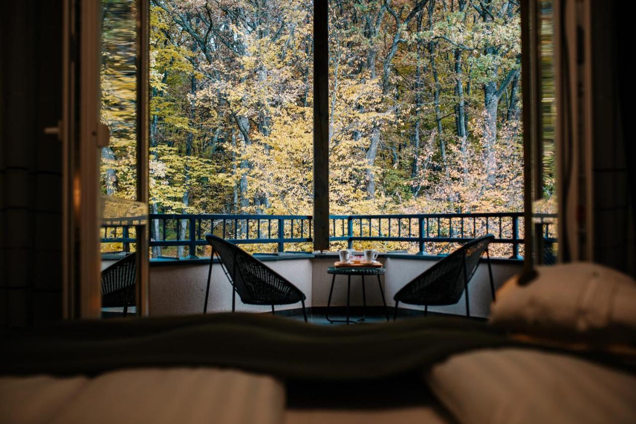 Panorama Boutique Hotel Сфынту-Георге Экстерьер фото