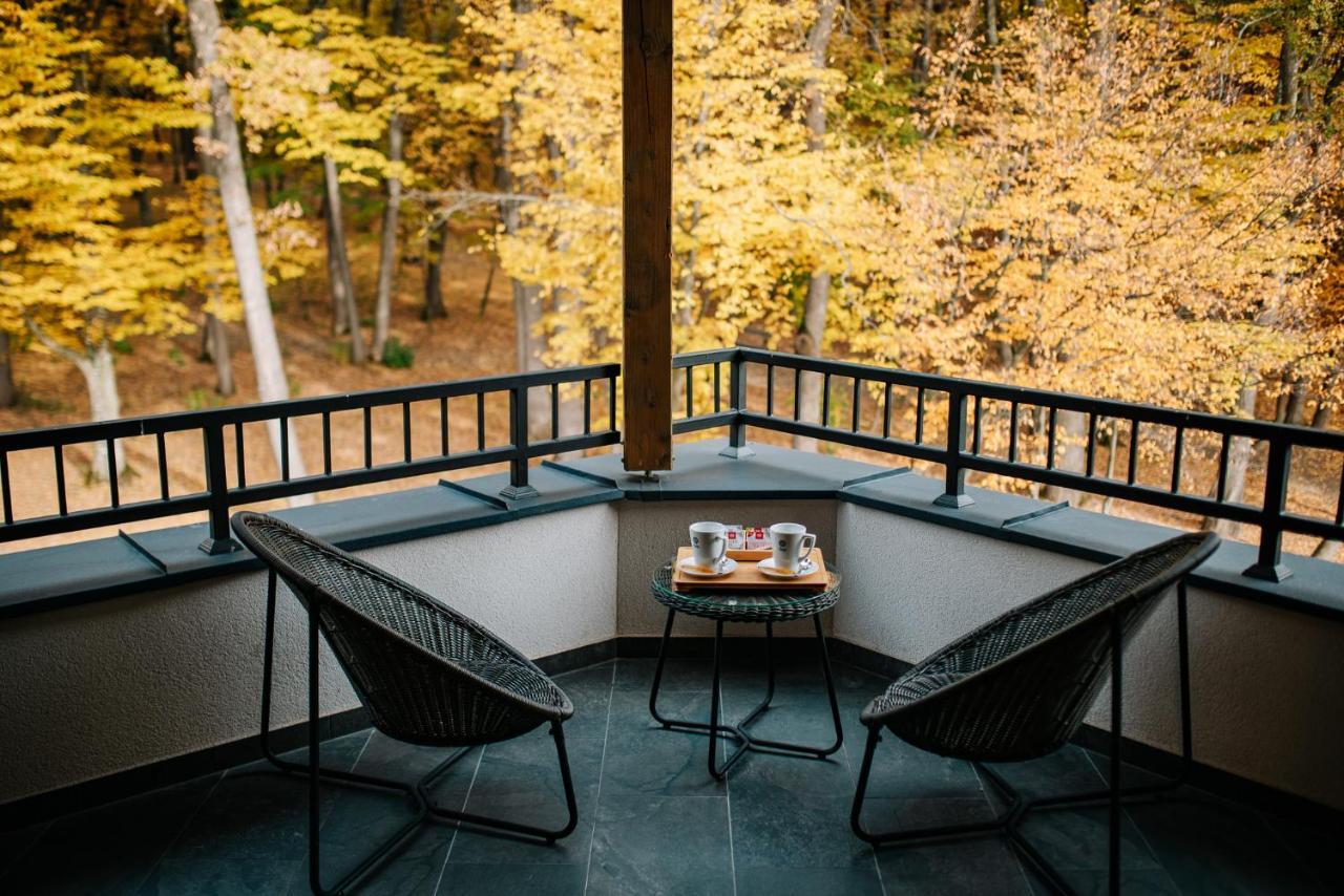 Panorama Boutique Hotel Сфынту-Георге Экстерьер фото