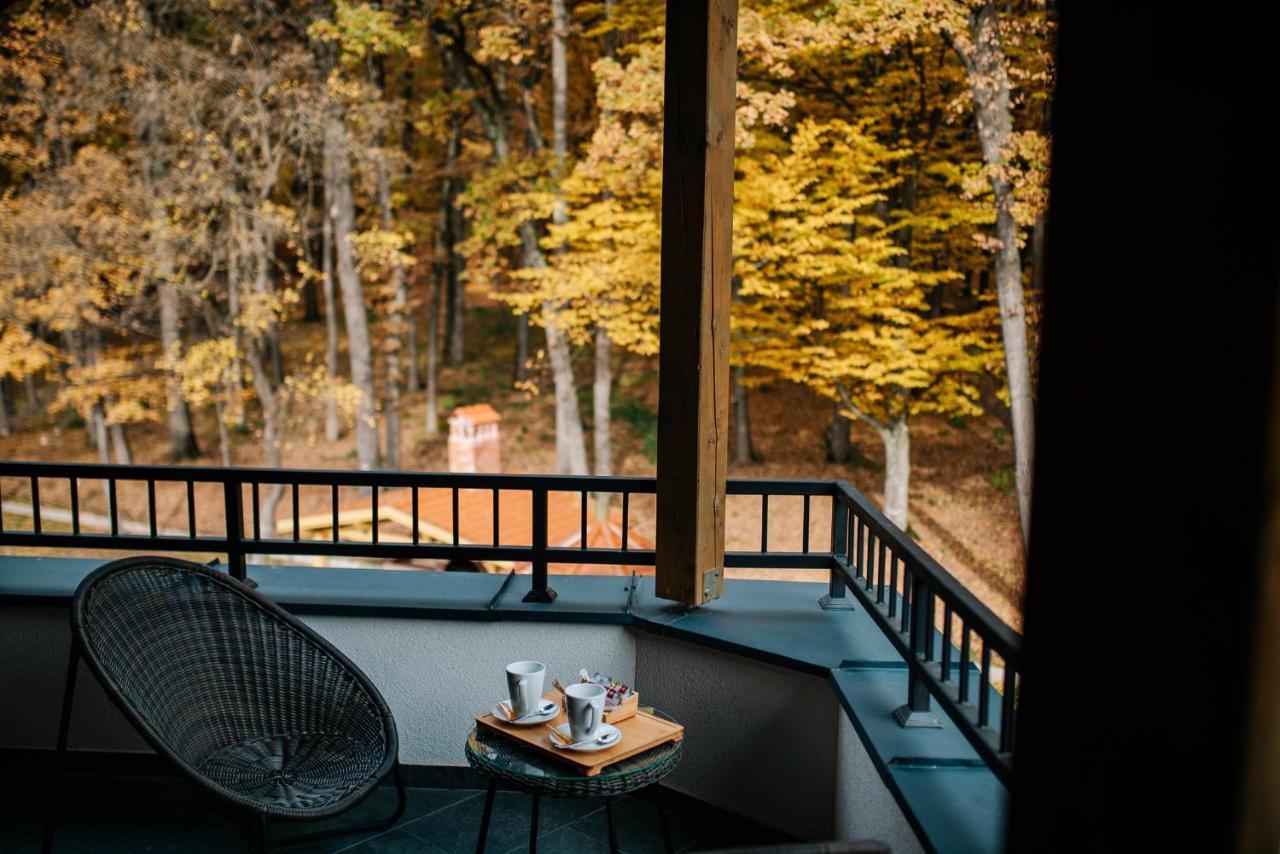 Panorama Boutique Hotel Сфынту-Георге Экстерьер фото