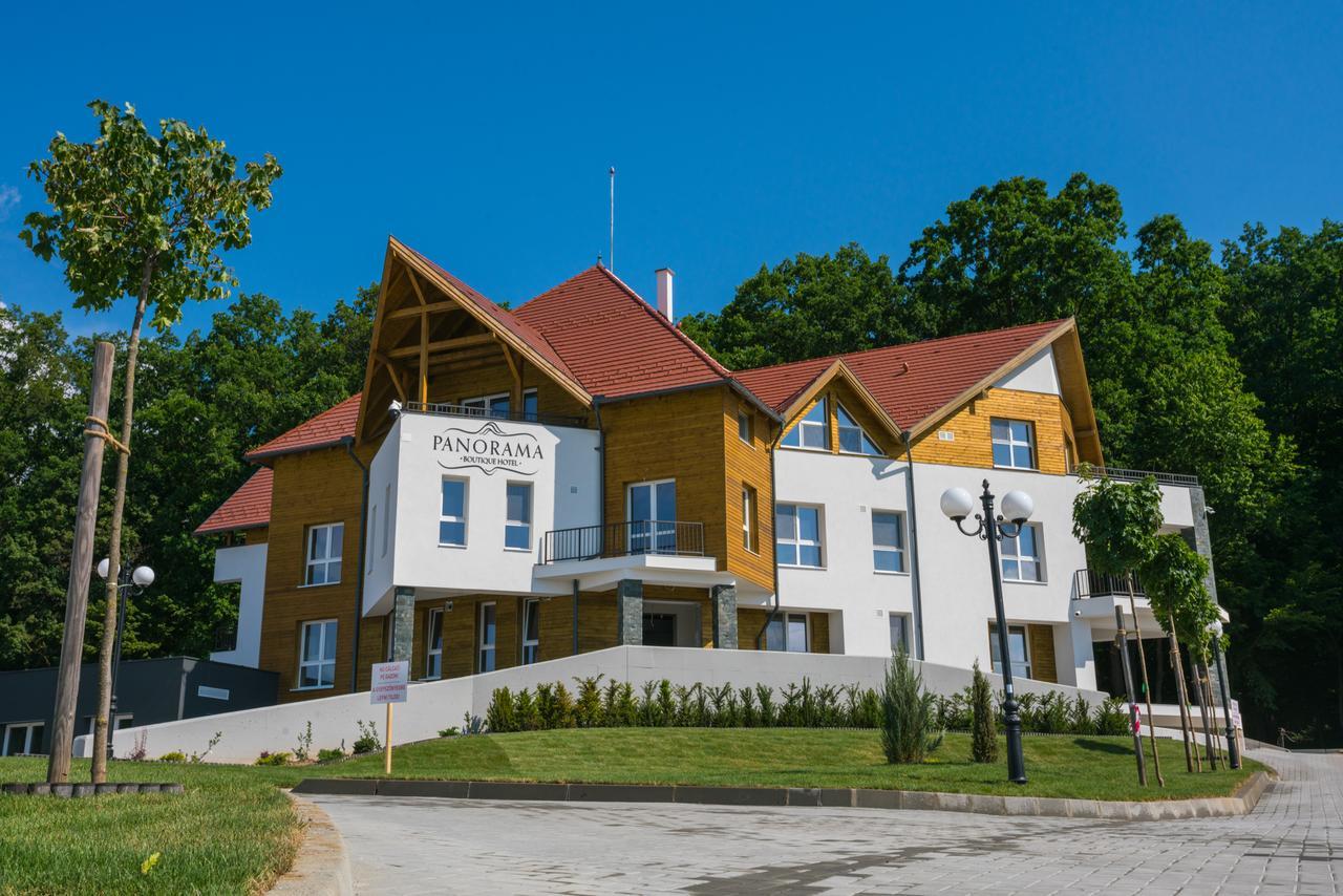 Panorama Boutique Hotel Сфынту-Георге Экстерьер фото